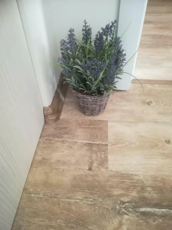 Apartment Batoevi سوزوبول 0*,  بلغاريا